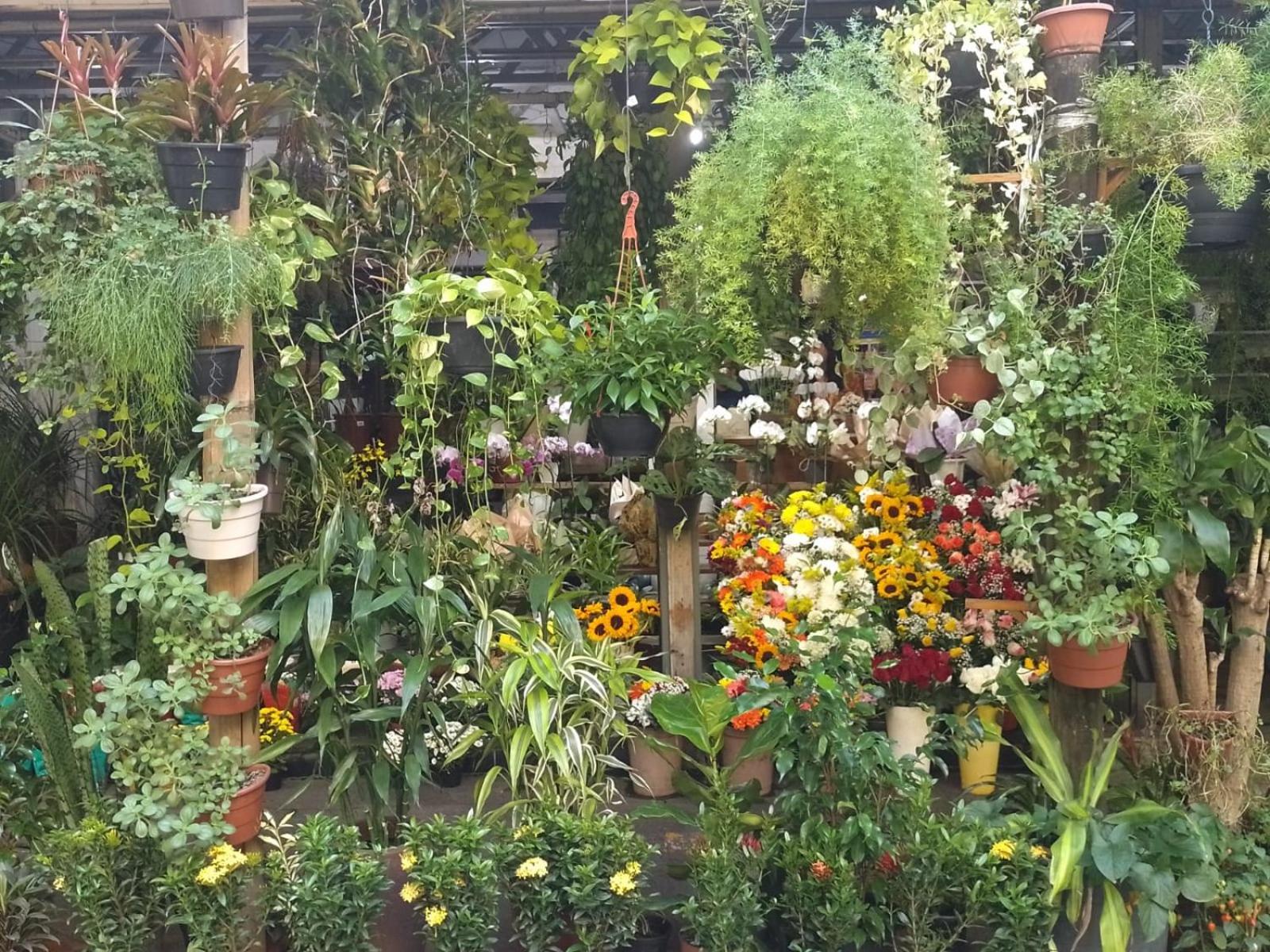 Apartamento Parque Jardim Europa Rio de Janeiro Extérieur photo