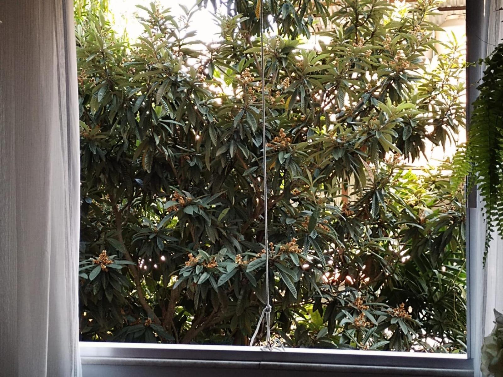 Apartamento Parque Jardim Europa Rio de Janeiro Extérieur photo